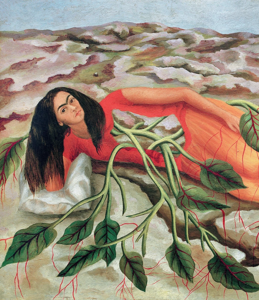 Frida lood: Frida Kahlo elu ja seiklused, mässaja ja väljajätetu