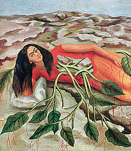 Frida lood: Frida Kahlo elu ja seiklused, mässaja ja väljajätetu