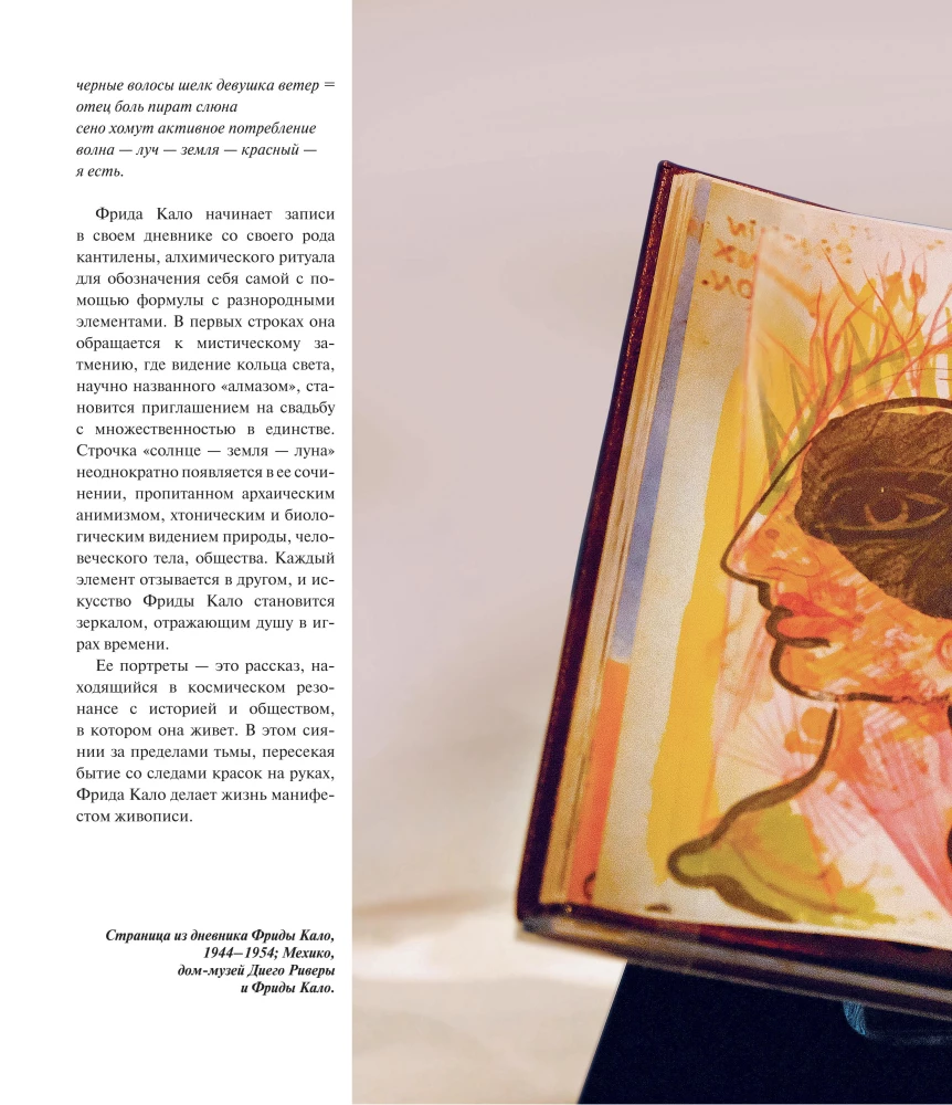 Frida lood: Frida Kahlo elu ja seiklused, mässaja ja väljajätetu