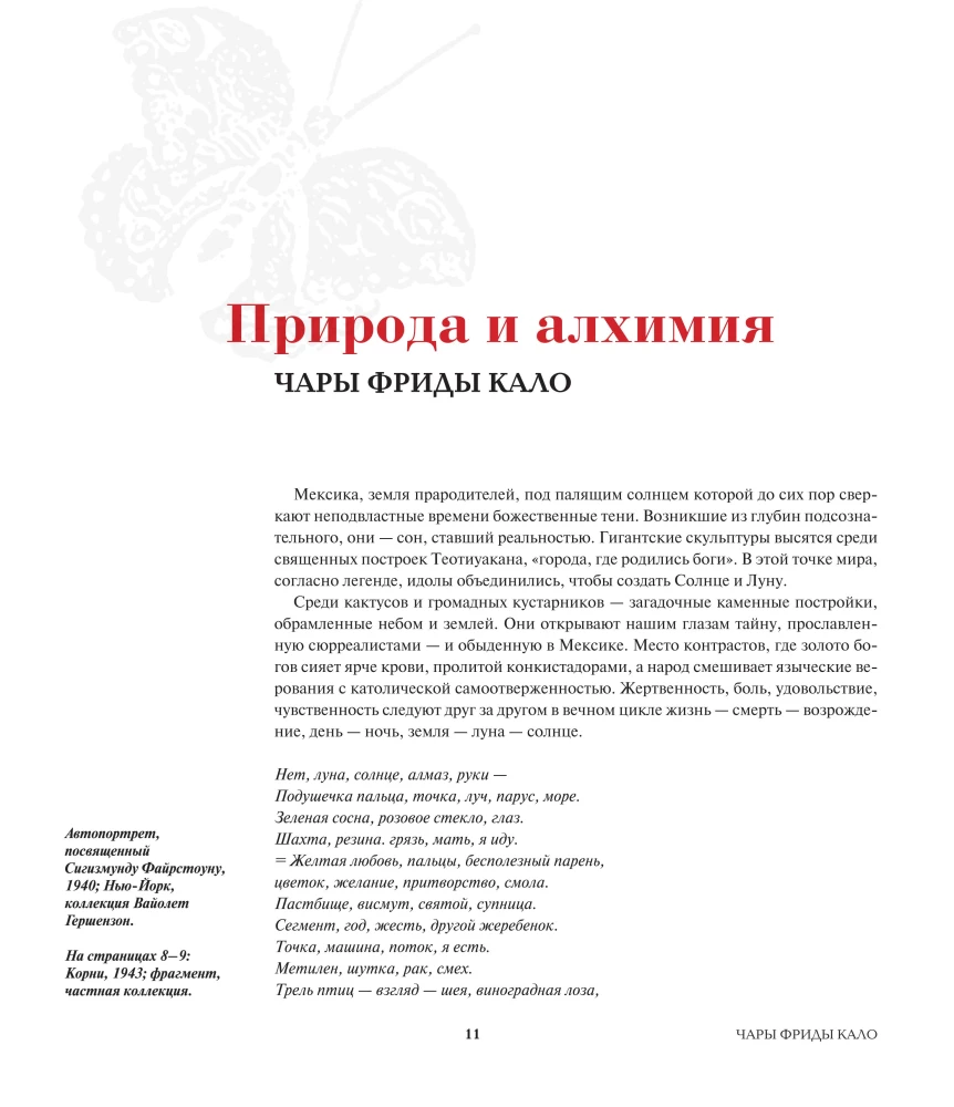 Frida lood: Frida Kahlo elu ja seiklused, mässaja ja väljajätetu