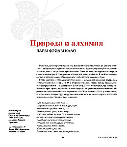 Frida lood: Frida Kahlo elu ja seiklused, mässaja ja väljajätetu