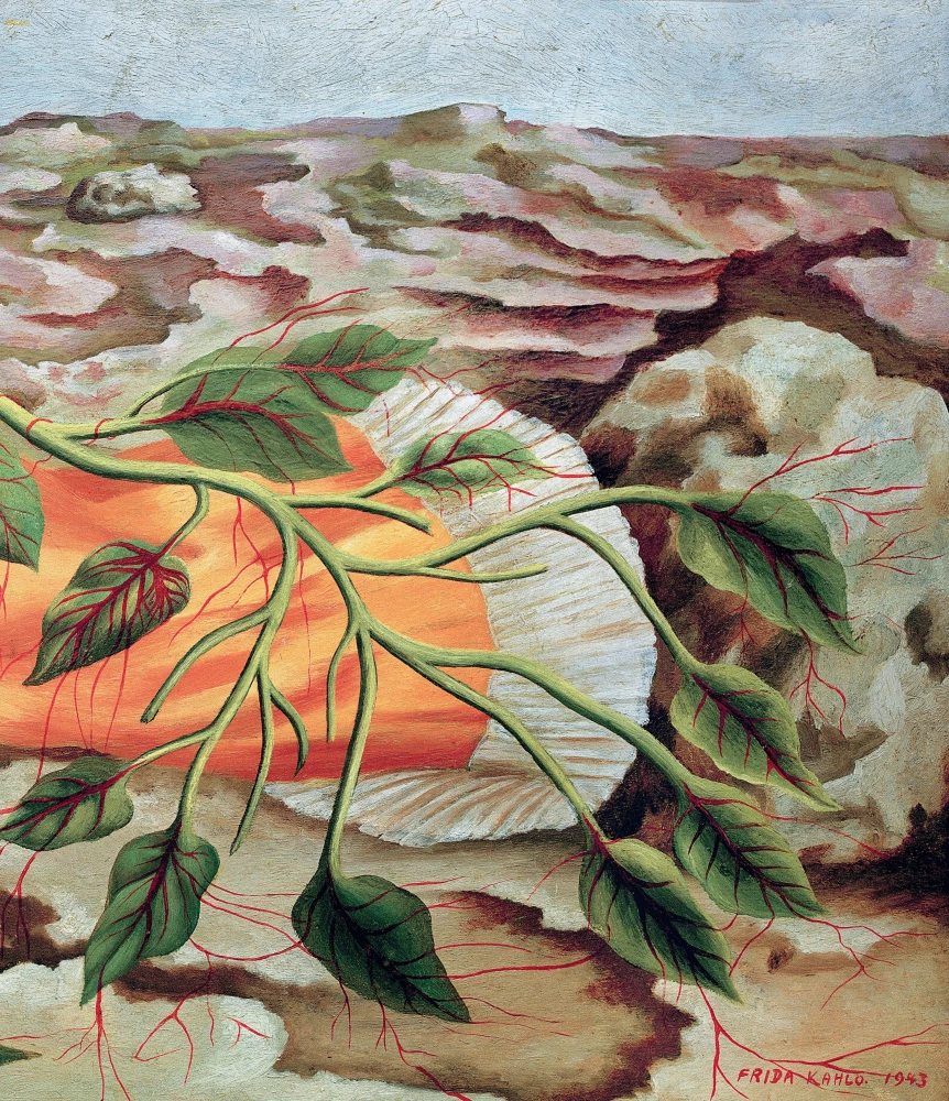 Frida lood: Frida Kahlo elu ja seiklused, mässaja ja väljajätetu