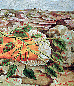 Frida lood: Frida Kahlo elu ja seiklused, mässaja ja väljajätetu