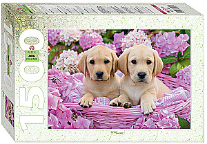 Puzzle 1500 - Puppies