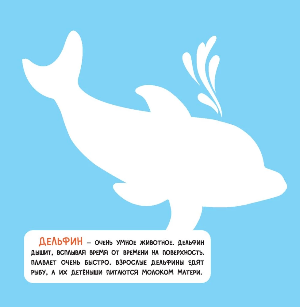 Jūra. Tūrinės aplikacijos