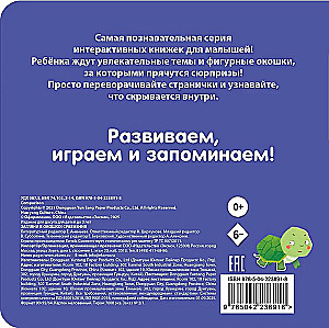 Look Through the Window! Comparisons