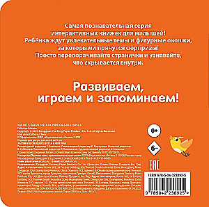 Look Through the Window! Colors and Shapes