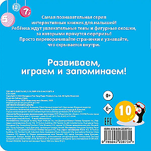 Look Through the Window! Numbers