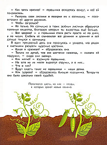 Encyclopedia for Little Ones in Fairy Tales. Everything Your Child Should Know Before School