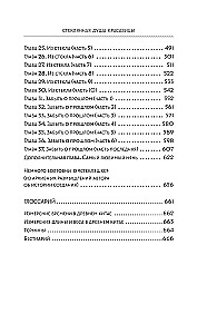 Stiklinė gražuolės siela. Knyga 4