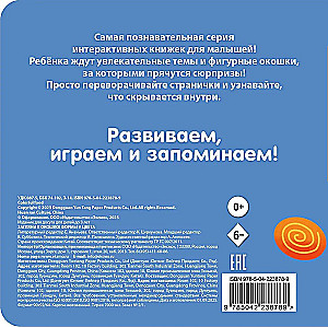 Look Through the Window! Shapes and Colors