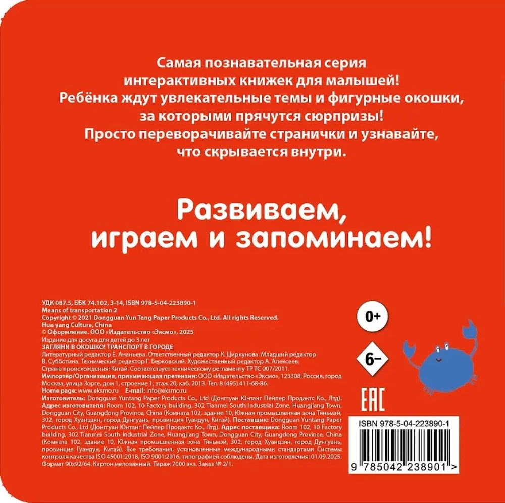 Look Through the Window! Transport in the City