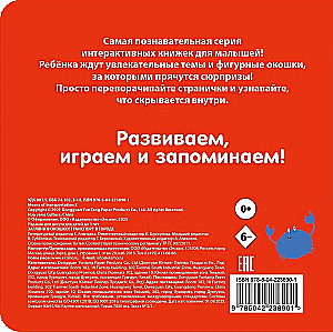 Look Through the Window! Transport in the City