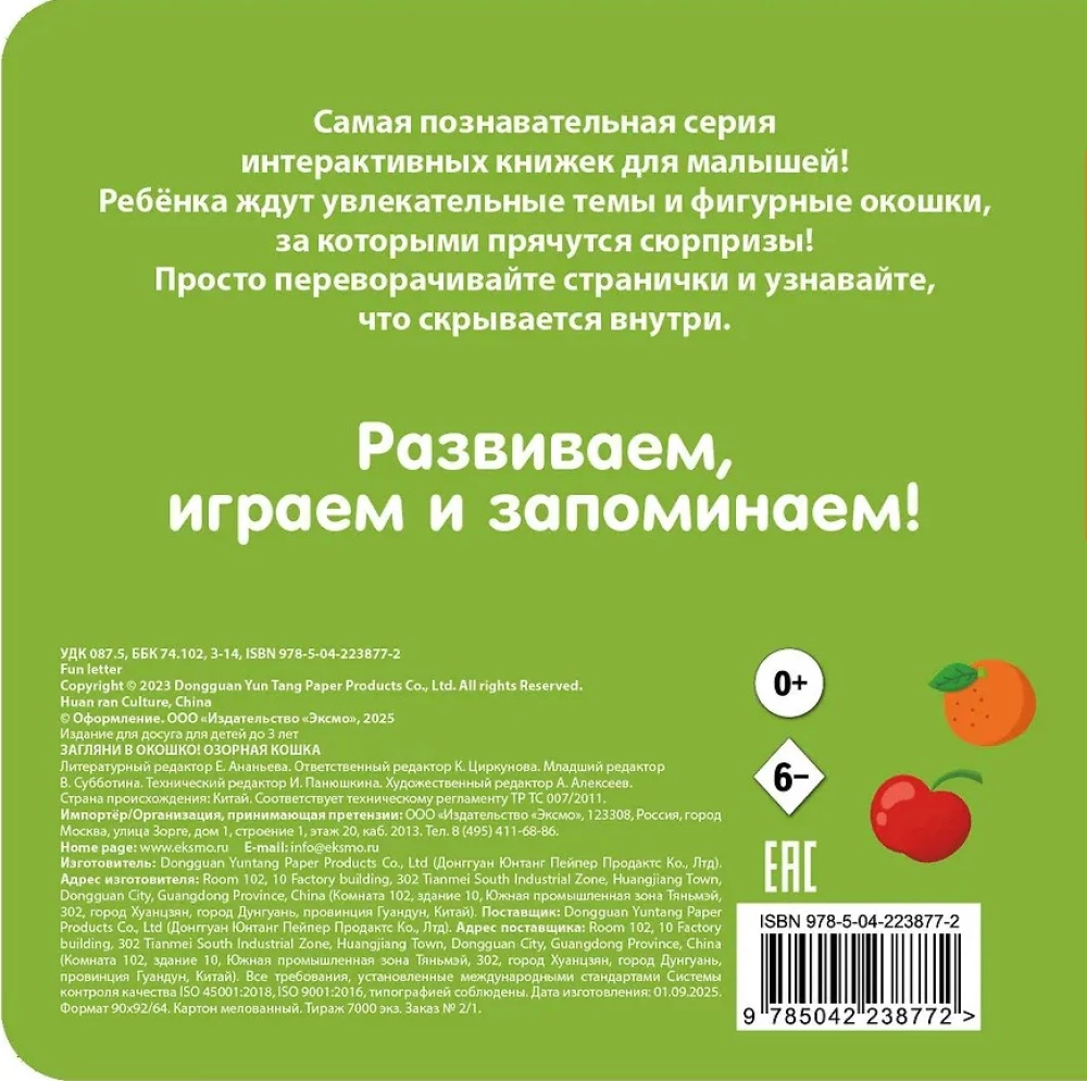 Look Through the Window! Naughty Cat