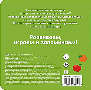 Look Through the Window! Naughty Cat