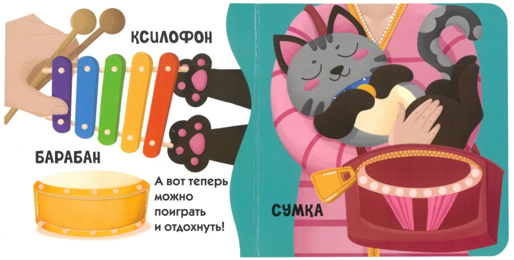 Look Through the Window! Naughty Cat