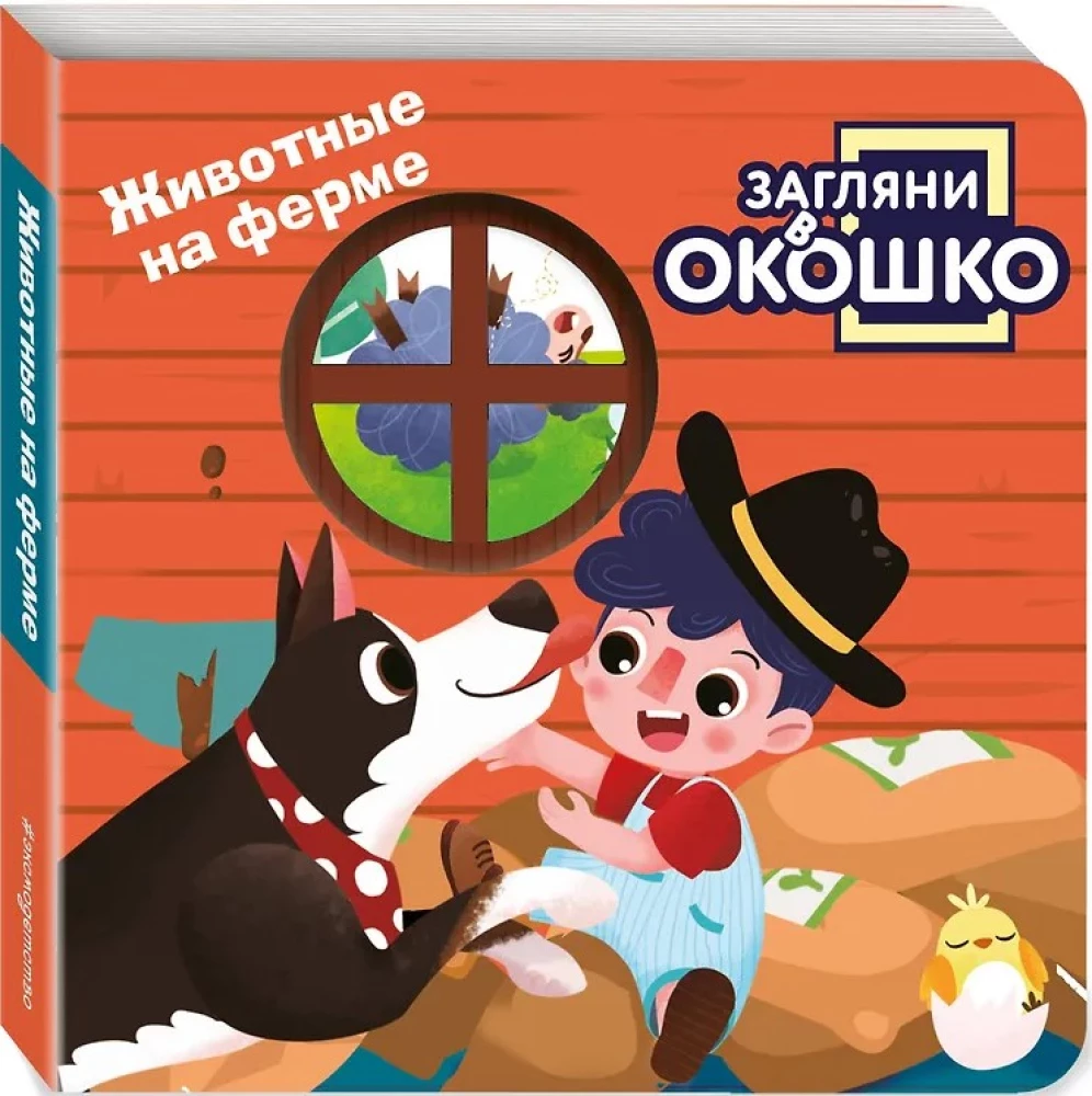 Look Through the Window! Animals on the Farm