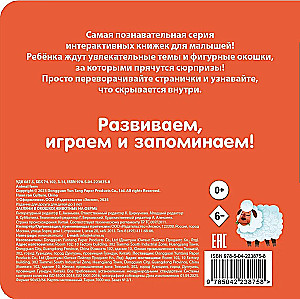 Look Through the Window! Animals on the Farm