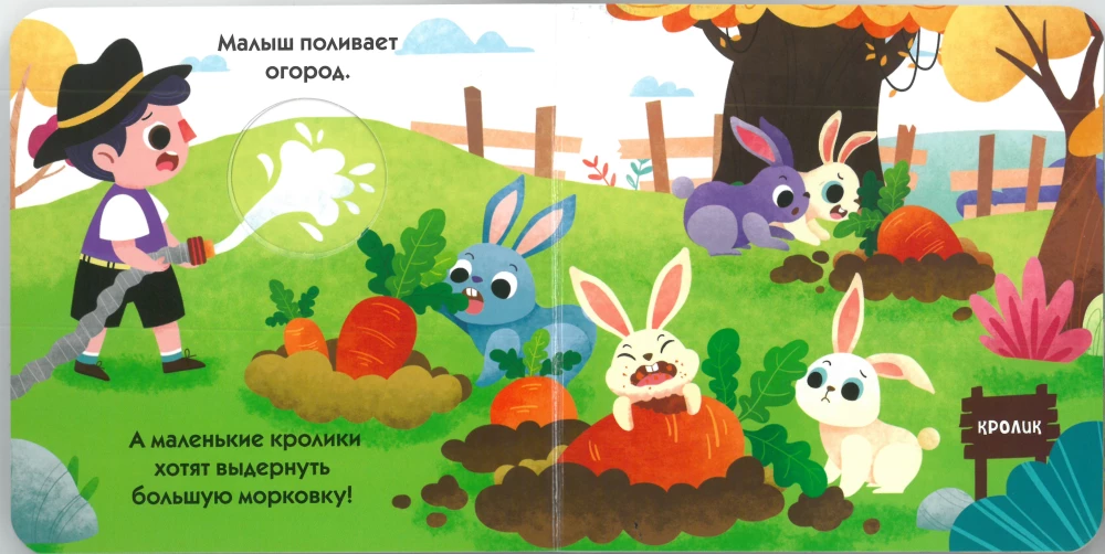 Look Through the Window! Animals on the Farm