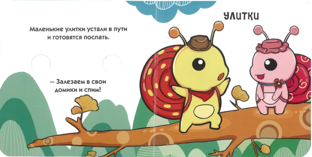 Look Through the Window! Time to Sleep