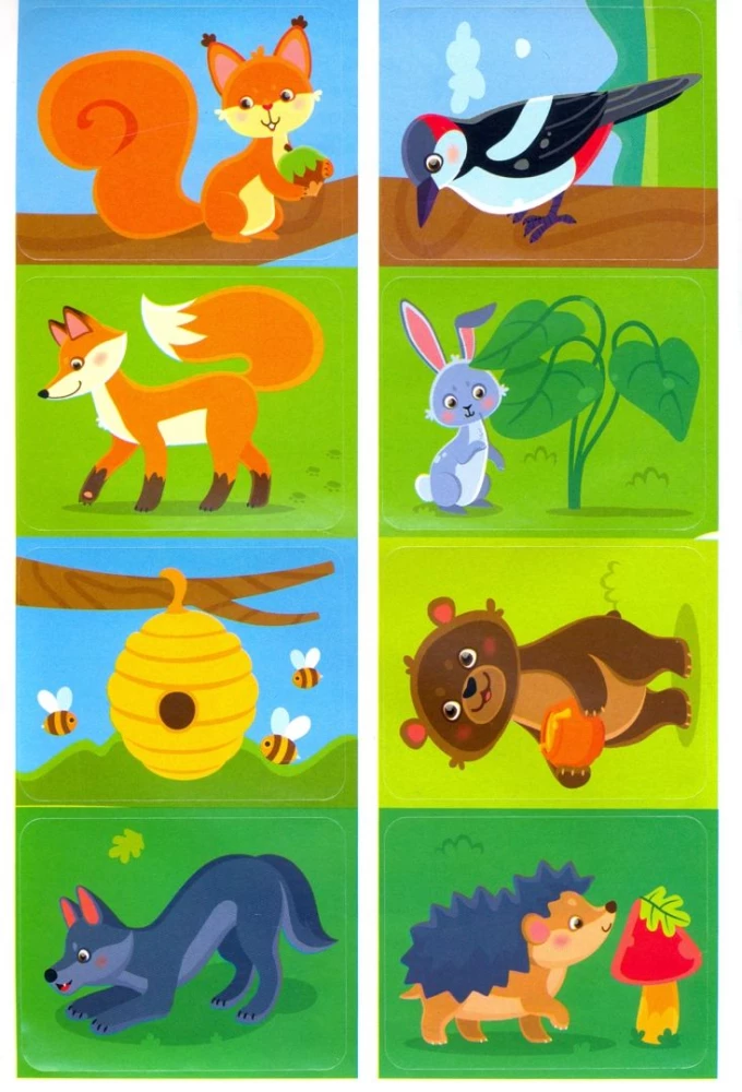 Let's Go to the Forest! A Sticker Book