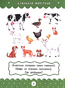 Complete Course of Developmental Assignments for the Littlest Ones: 2-3 Years Old