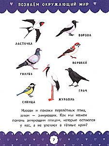 Complete Course of Developmental Activities for the Youngest: 3-4 Years