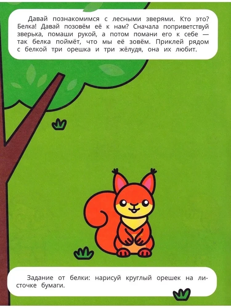 A Walk in the Forest. Sticker Book