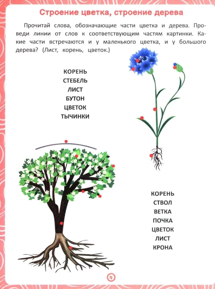 Plants. A workbook for speech and logic development