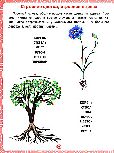 Plants. A workbook for speech and logic development