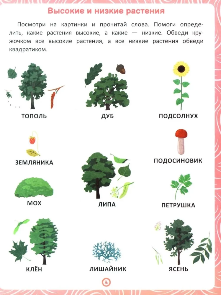 Plants. A workbook for speech and logic development