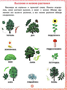 Plants. A workbook for speech and logic development