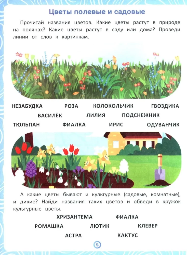 Plants. A workbook for speech and logic development