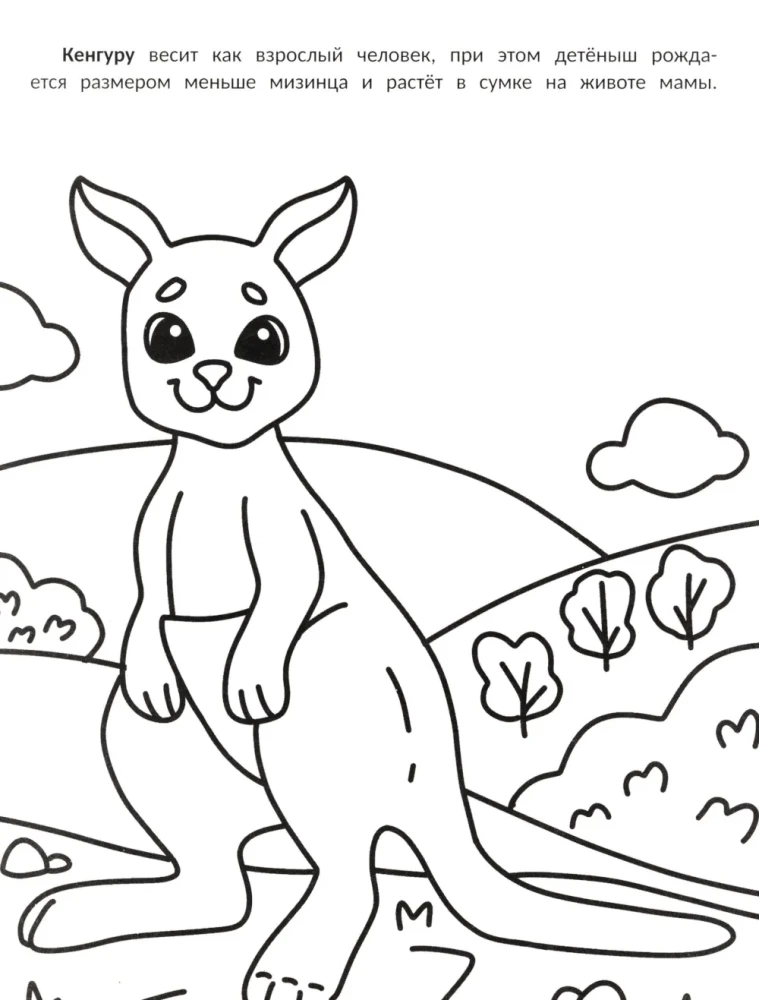 The Biggest: Coloring Book