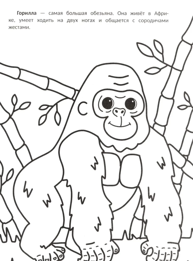 The Biggest: Coloring Book