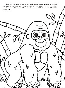 The Biggest: Coloring Book