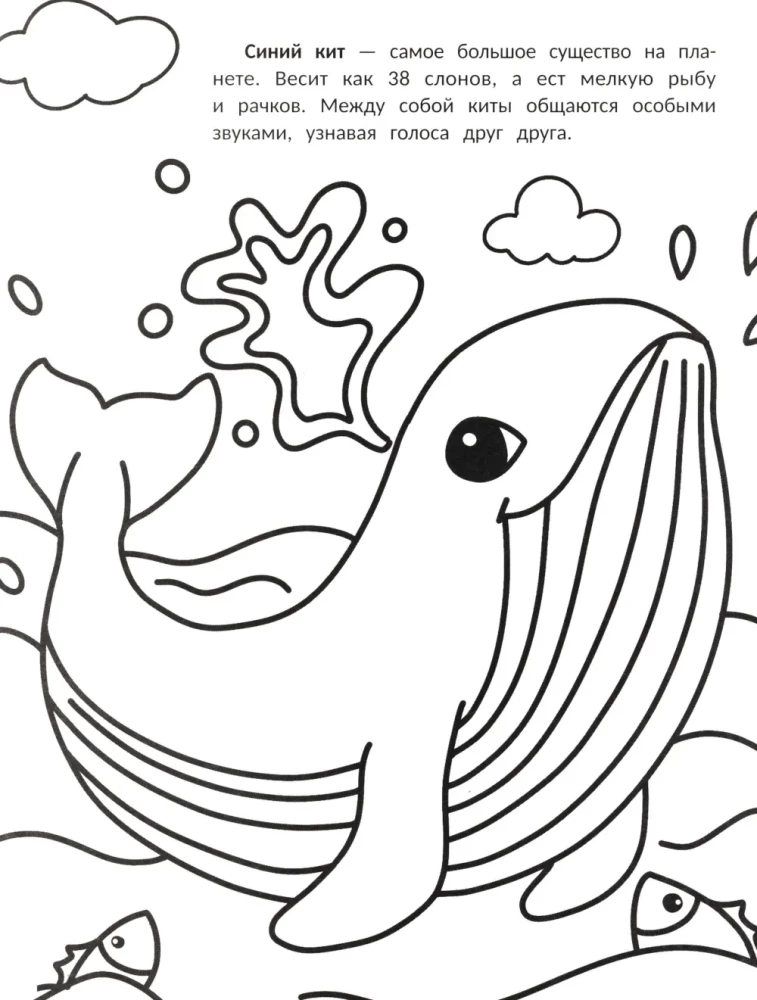 The Biggest: Coloring Book