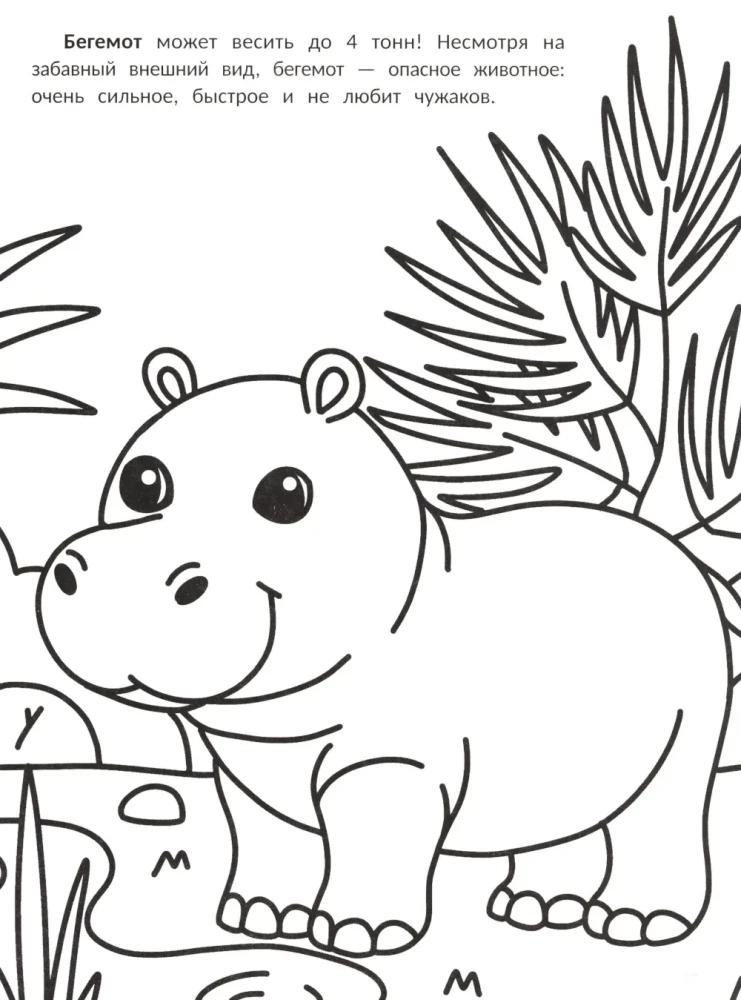 The Biggest: Coloring Book