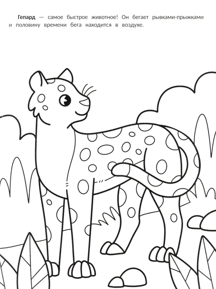 The Fastest: A Coloring Book