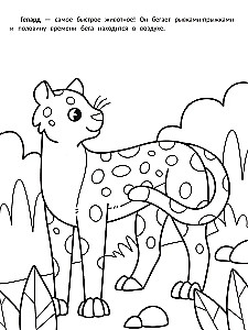 The Fastest: A Coloring Book