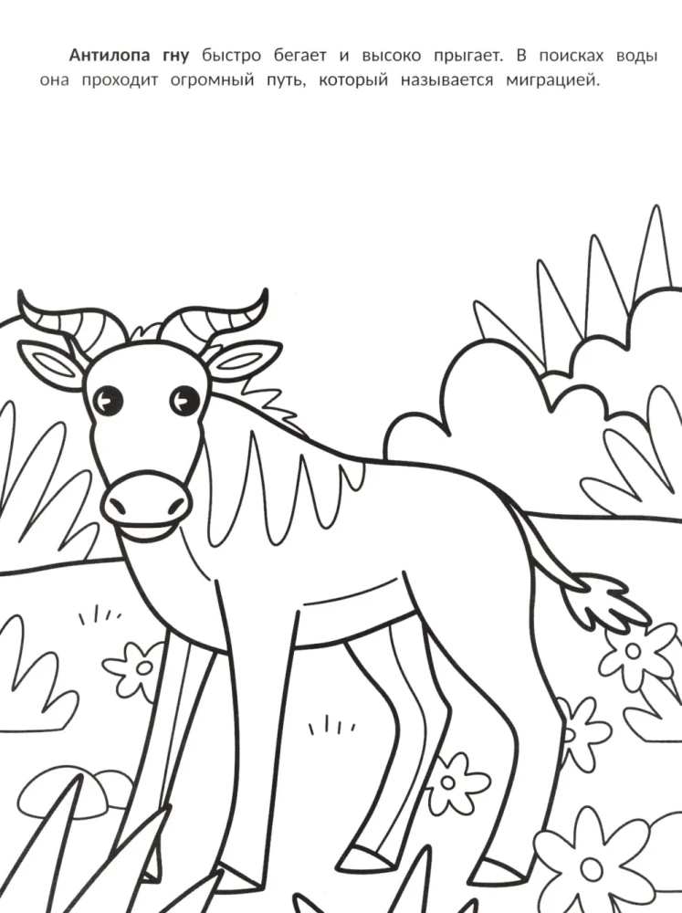 The Fastest: A Coloring Book