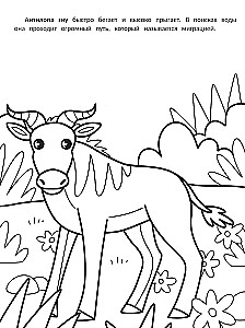 The Fastest: A Coloring Book