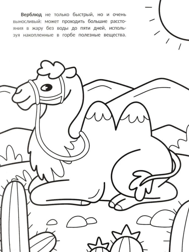 The Fastest: A Coloring Book