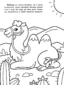 The Fastest: A Coloring Book