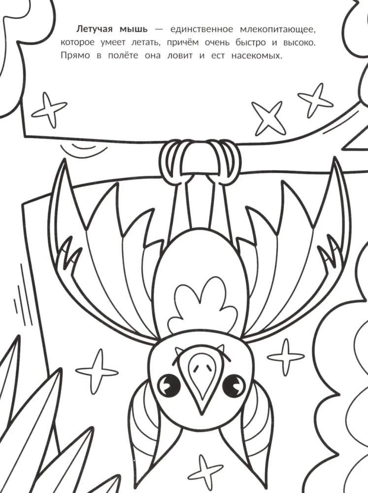 The Fastest: A Coloring Book