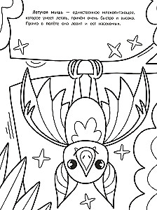 The Fastest: A Coloring Book