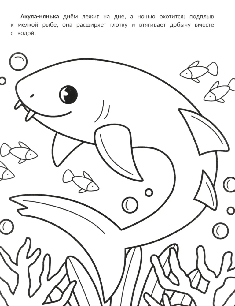 The Laziest: Coloring Book