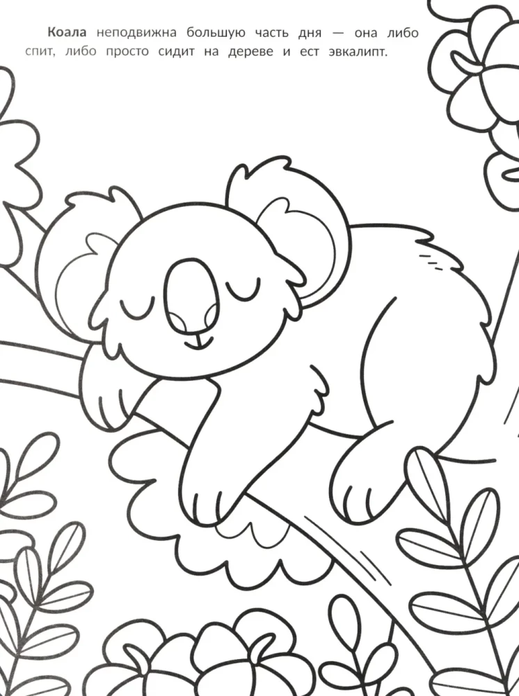The Laziest: Coloring Book