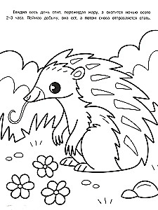 The Laziest: Coloring Book