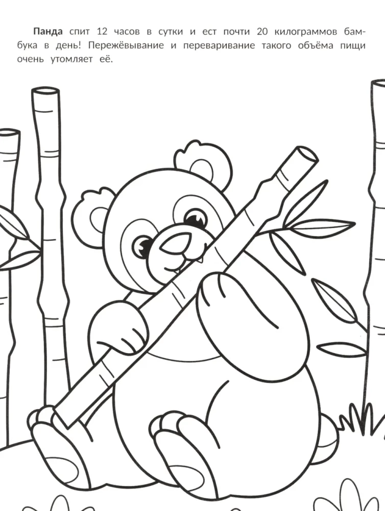 The Laziest: Coloring Book